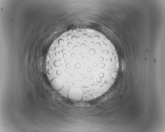 X0000085211059200704091900