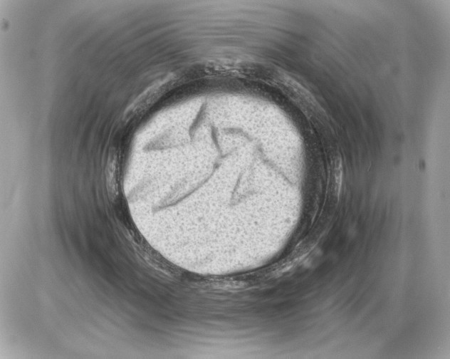 X0000085211060200704091900