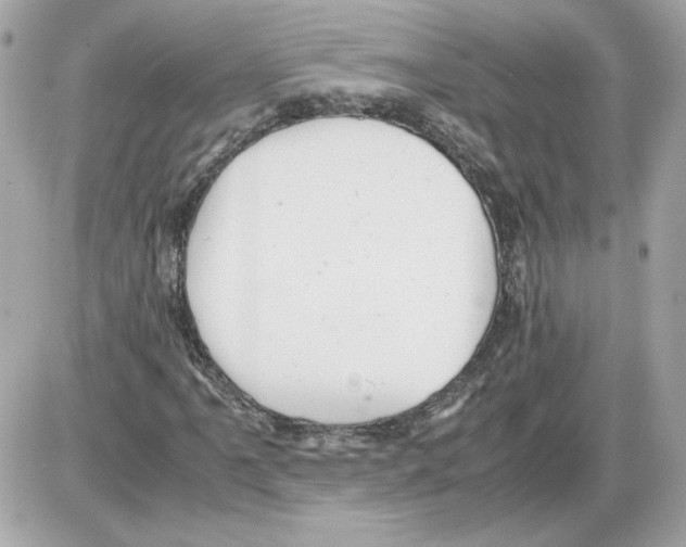 X0000085211061200704091900