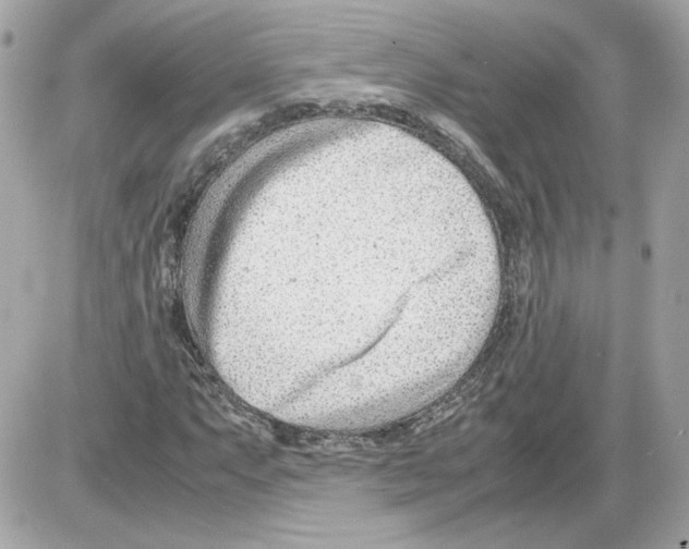 X0000085211063200704091900