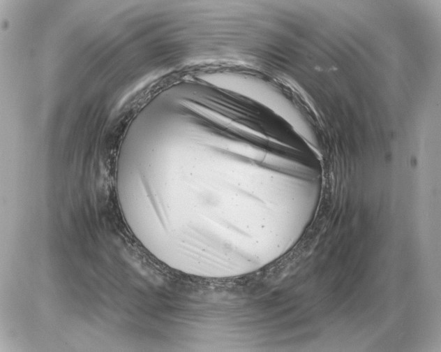 X0000085211064200704091900