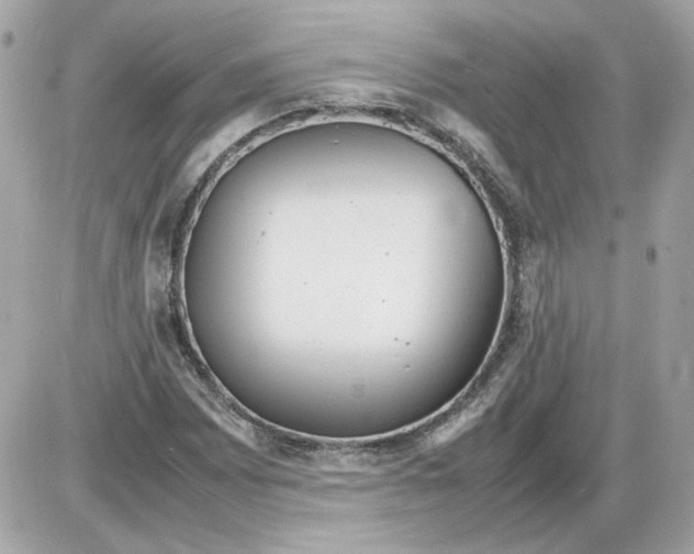 X0000085211065200704091900