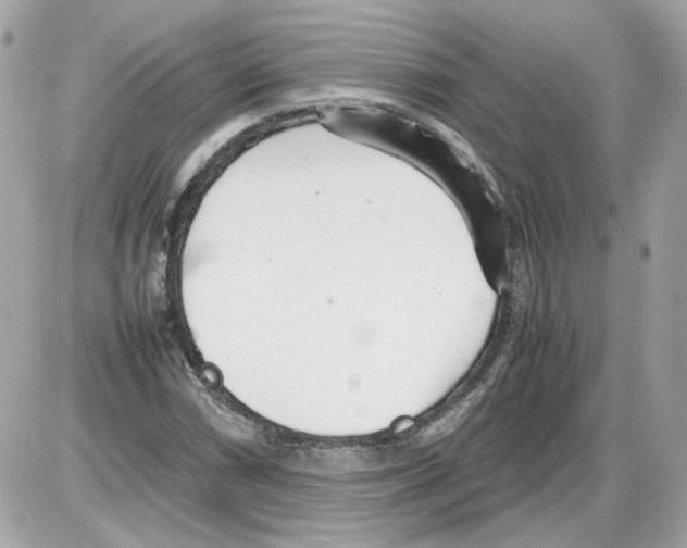 X0000085211066200704091900