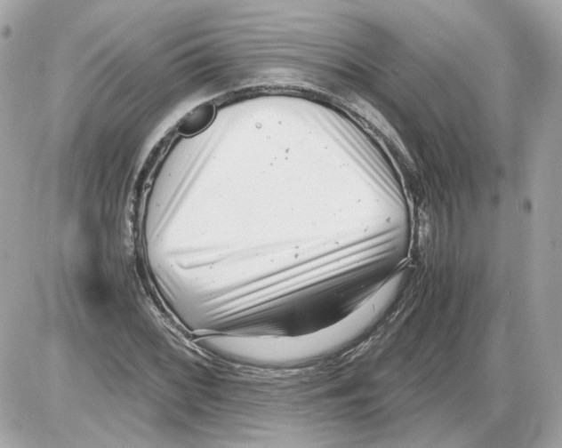 X0000085211068200704091900