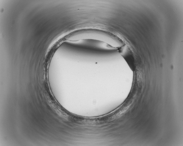 X0000085211069200704091900