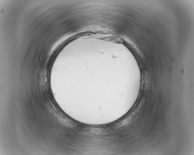 X0000085211070200704091900