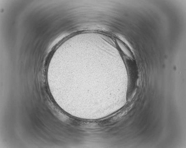 X0000085211071200704091900