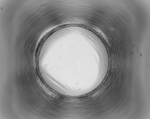 X0000085211072200704091900