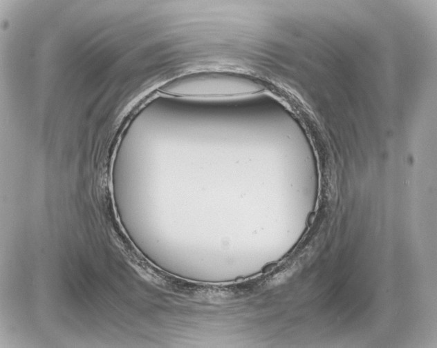 X0000085211073200704091900