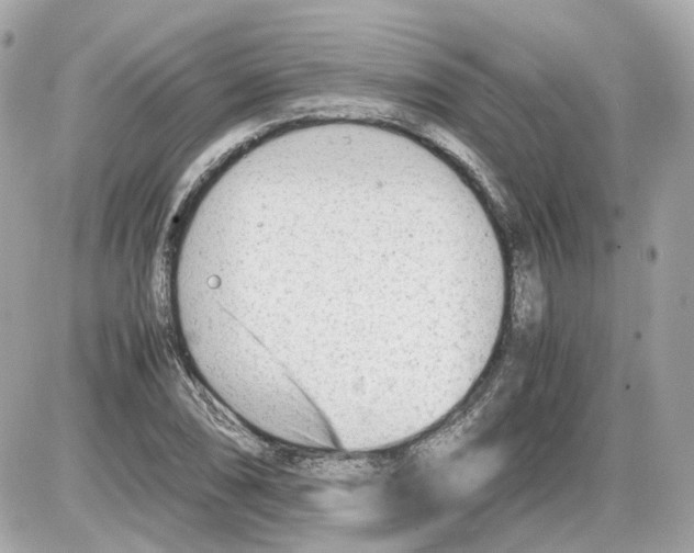 X0000085211074200704091900