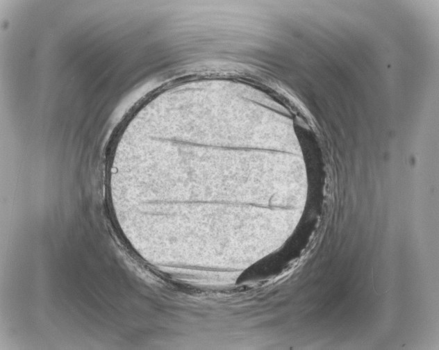 X0000085211075200704091900