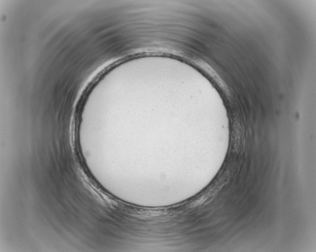 X0000085211076200704091900