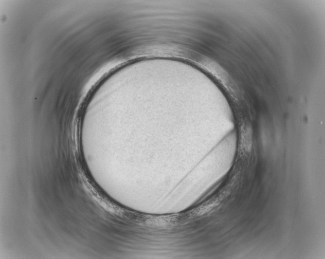 X0000085211078200704091900