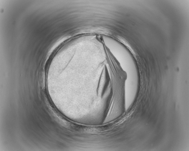 X0000085211079200704091900