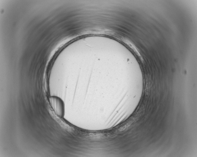 X0000085211080200704091900