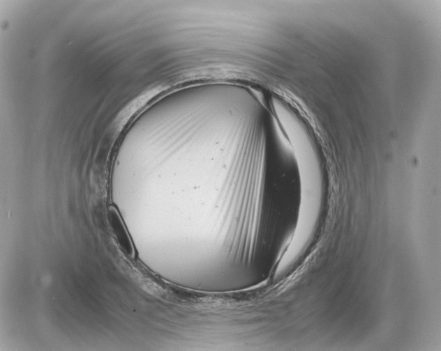 X0000085211081200704091900