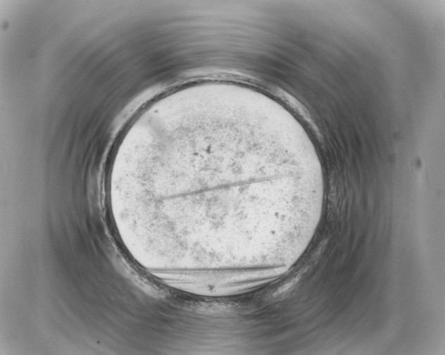 X0000085211082200704091900