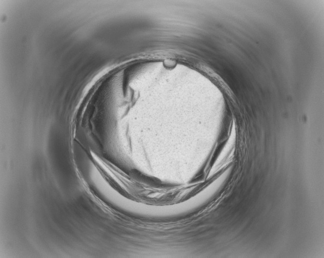 X0000085211083200704091900