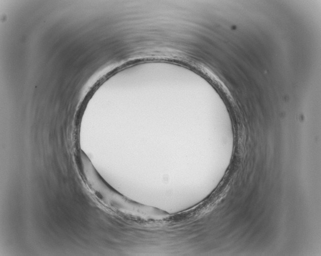 X0000085211085200704091900