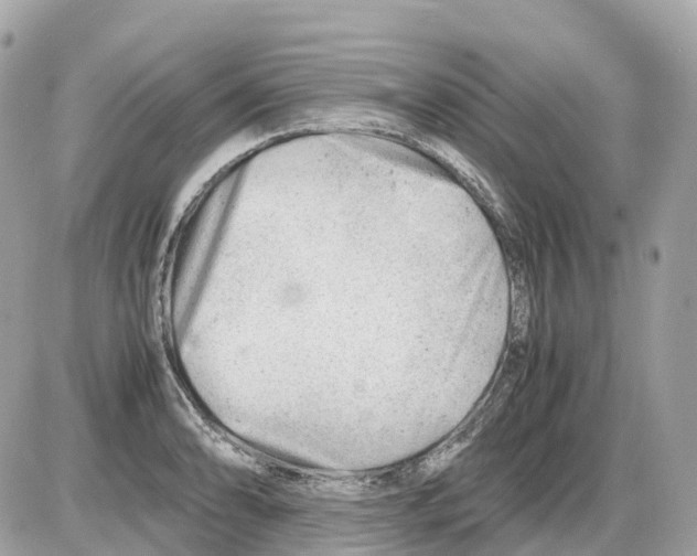 X0000085211086200704091900