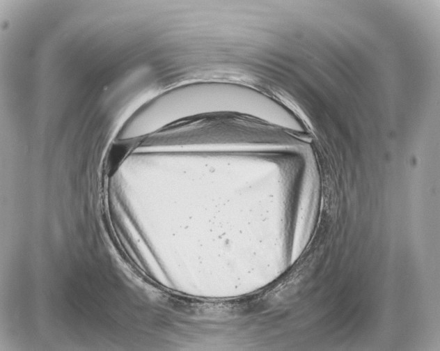 X0000085211087200704091900