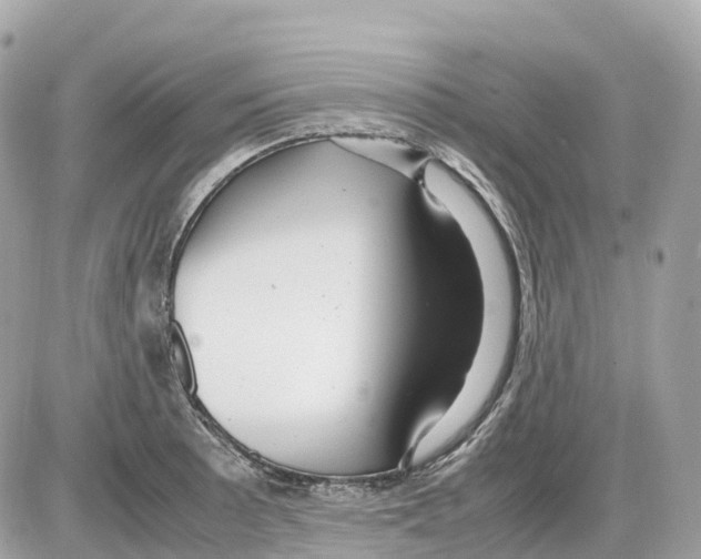 X0000085211089200704091900