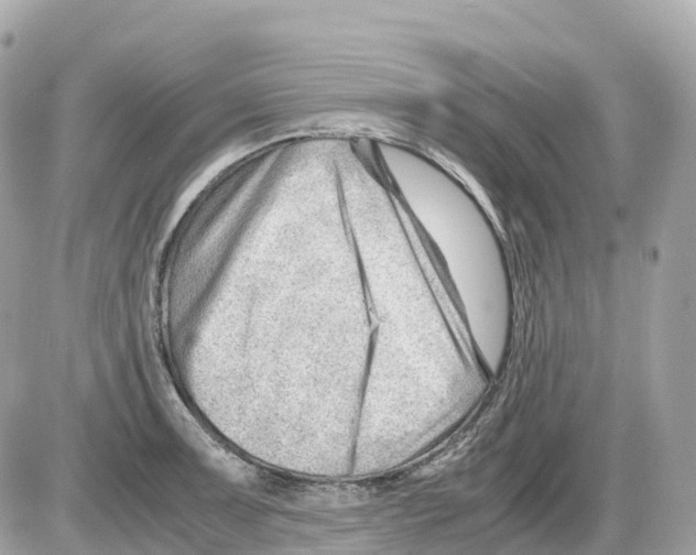 X0000085211091200704091900