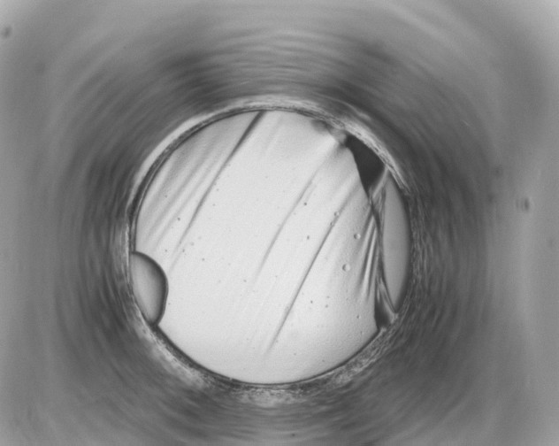 X0000085211092200704091900