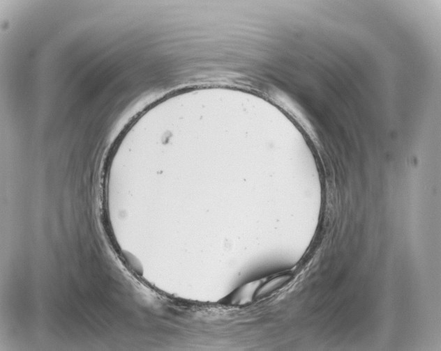 X0000085211093200704091900