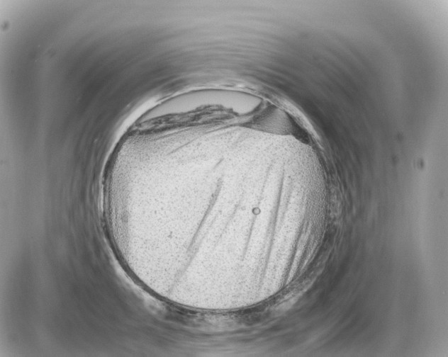 X0000085211095200704091900