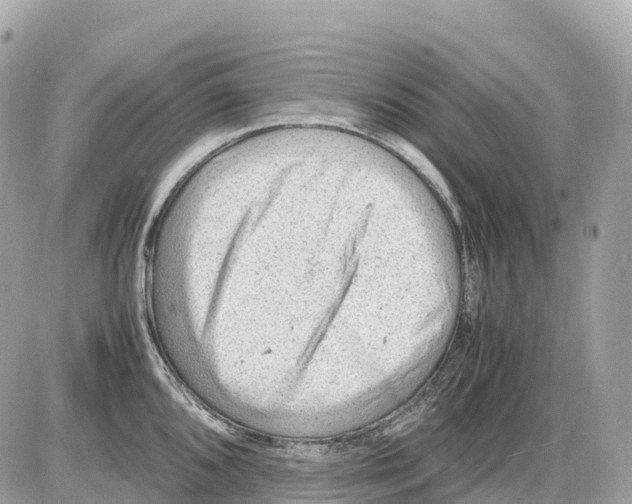 X0000085211096200704091900