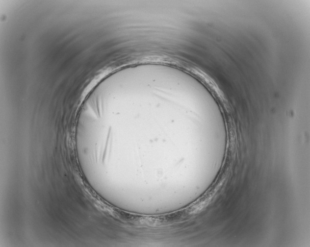 X0000085211097200704091900