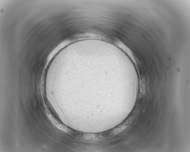 X0000085211098200704091900