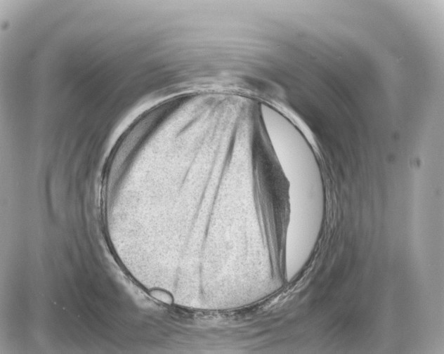 X0000085211099200704091900