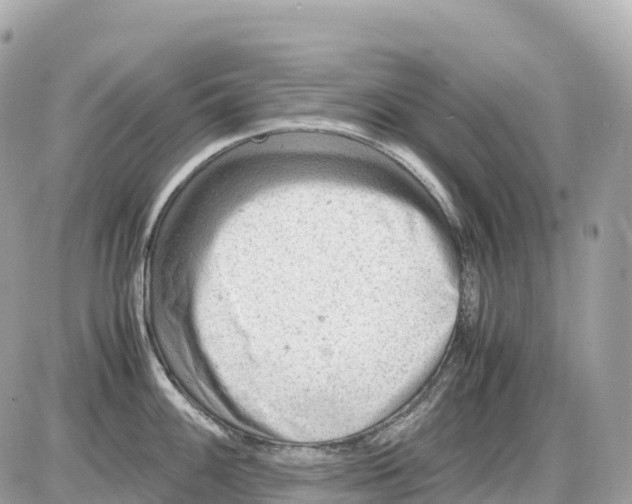 X0000085211100200704091900