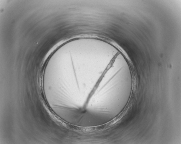 X0000085211101200704091900