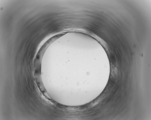 X0000085211102200704091900