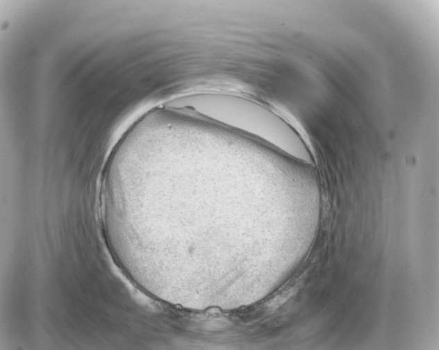 X0000085211103200704091900