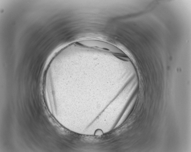 X0000085211104200704091900