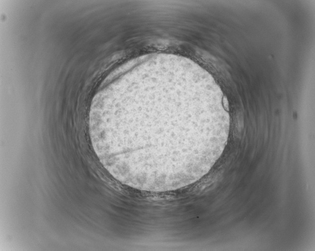 X0000085211105200704091859