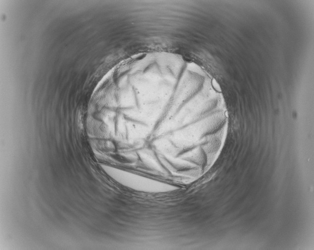 X0000085211106200704091859