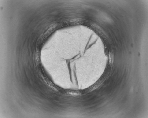 X0000085211107200704091859