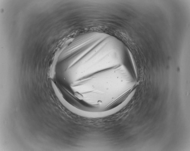 X0000085211109200704091859