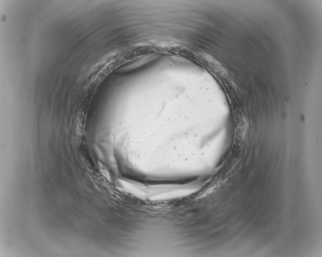 X0000085211110200704091859