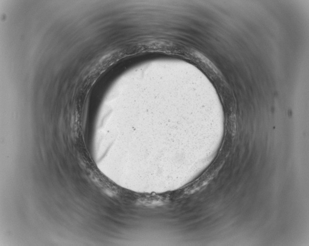 X0000085211111200704091859