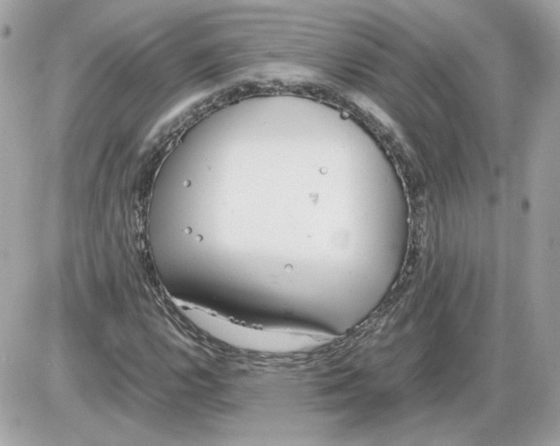 X0000085211112200704091859