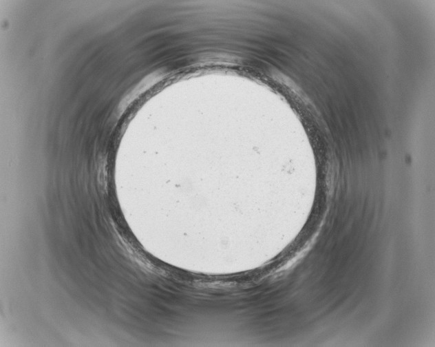 X0000085211113200704091859