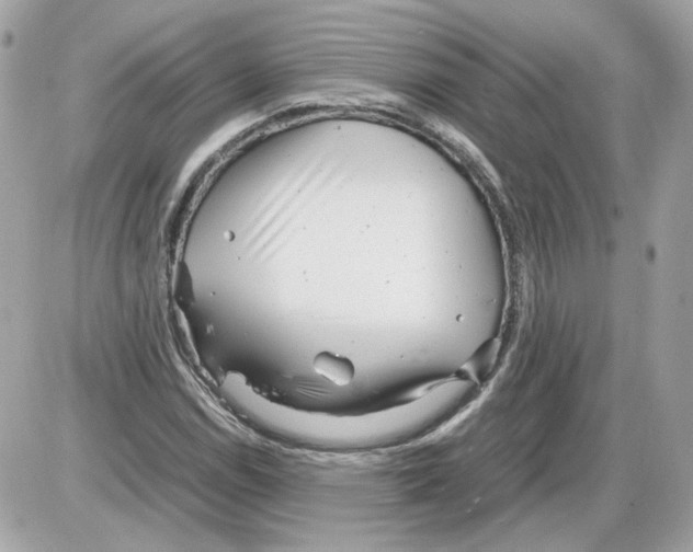 X0000085211114200704091859