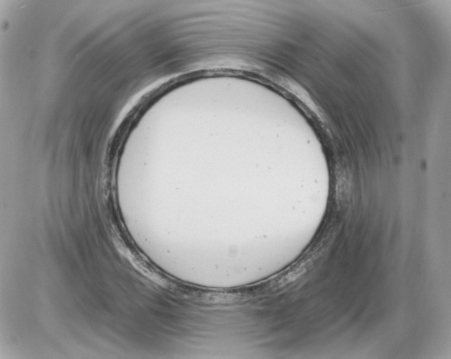 X0000085211116200704091859