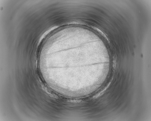 X0000085211117200704091859